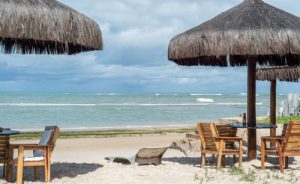 As encantadoras falésias de Jacarecica do Sul