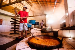 Do leite ao mel, conheça o turismo rural de Alagoas